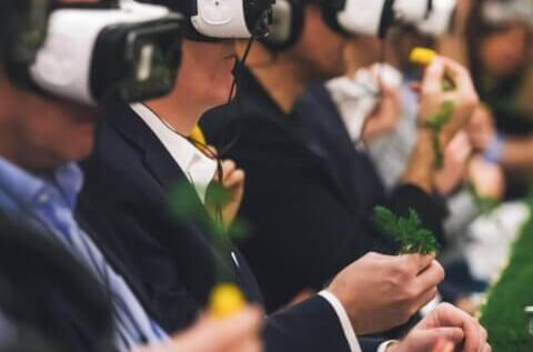 Root to flower data driven AR experience